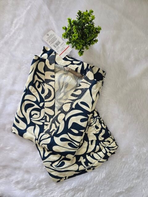 AVCS01